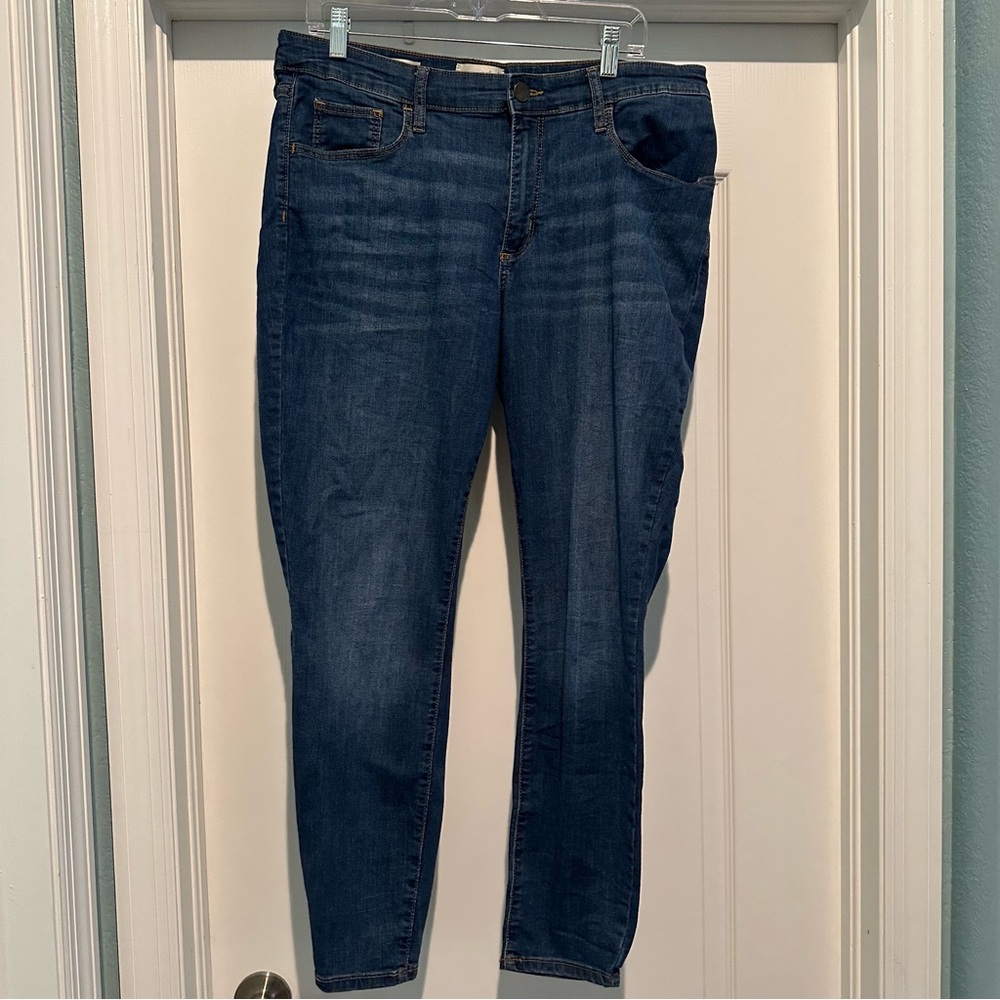 Universal Thread Blue Skinny Jeans
